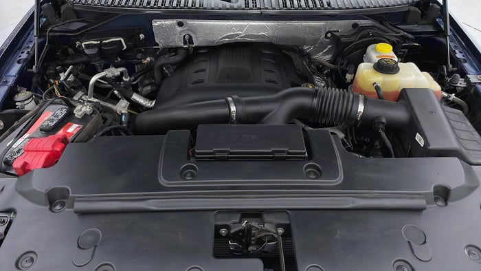 FORD EXPEDITION-Engine Bonet View