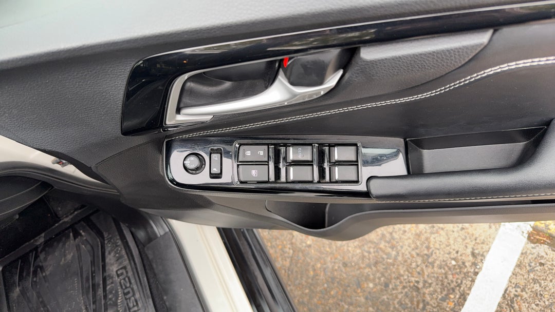 Drivers Side Door Panel Controls