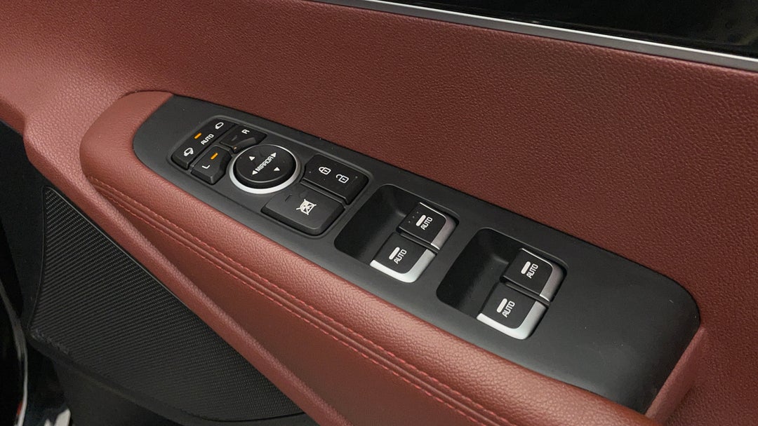 Drivers Side Door Panel Controls