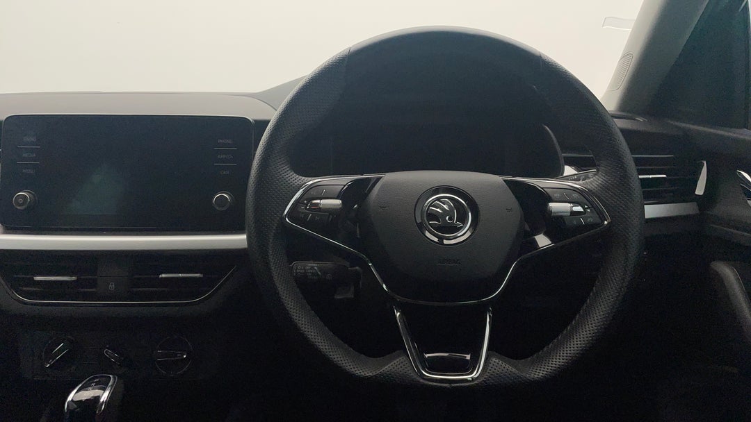 Steering Wheel Close-up