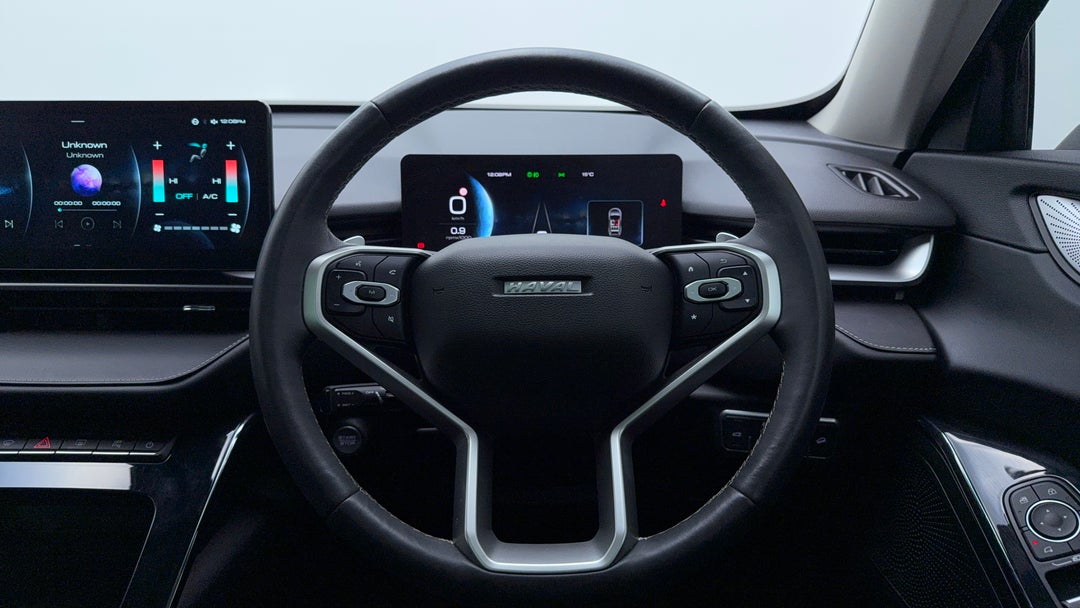 Steering Wheel Close-up