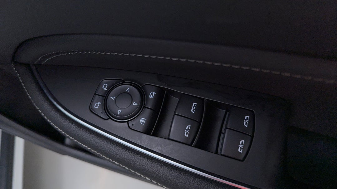 Drivers Side Door Panel Controls