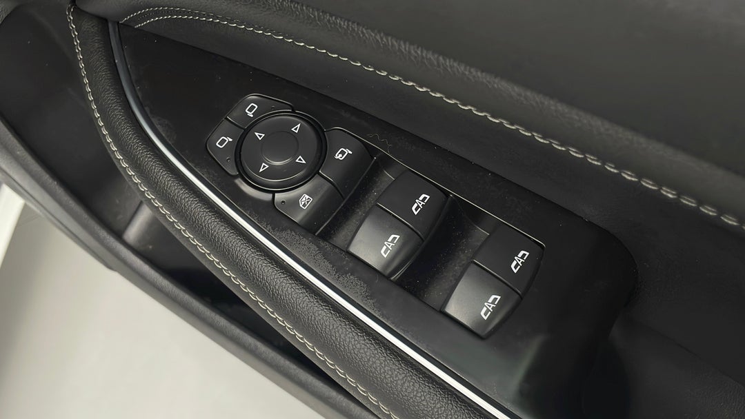 Drivers Side Door Panel Controls