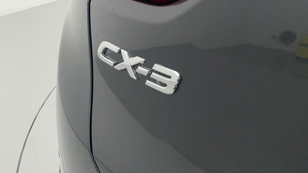 Badge (Boot Left Side)