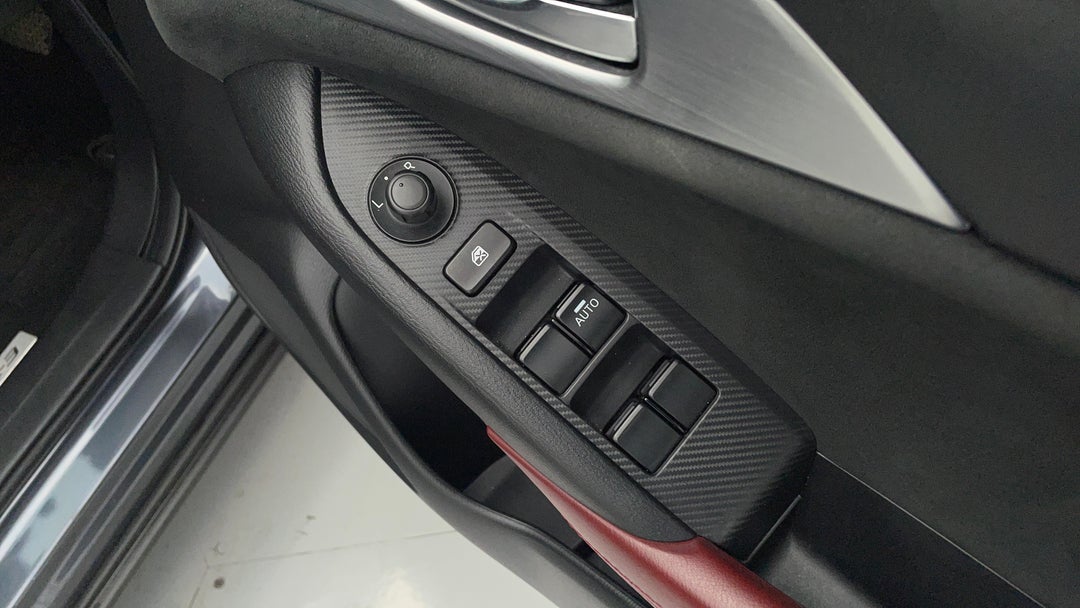 Drivers Side Door Panel Controls
