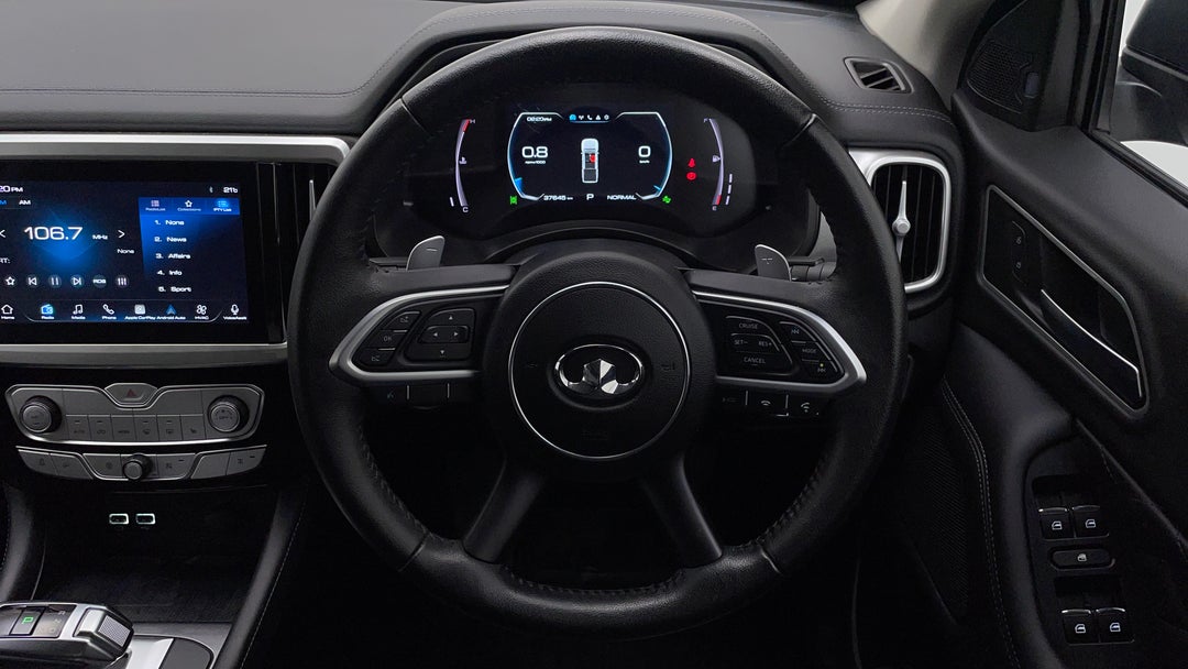 Steering Wheel Close-up