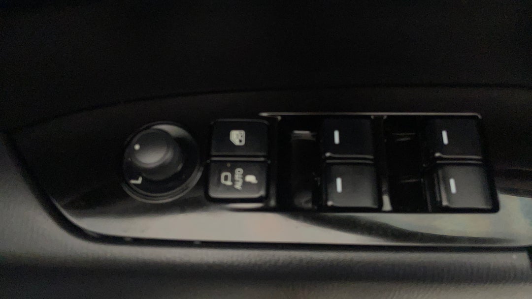 Drivers Side Door Panel Controls