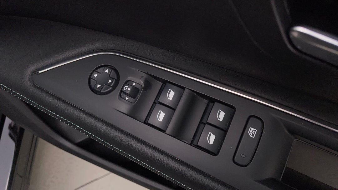 Drivers Side Door Panel Controls