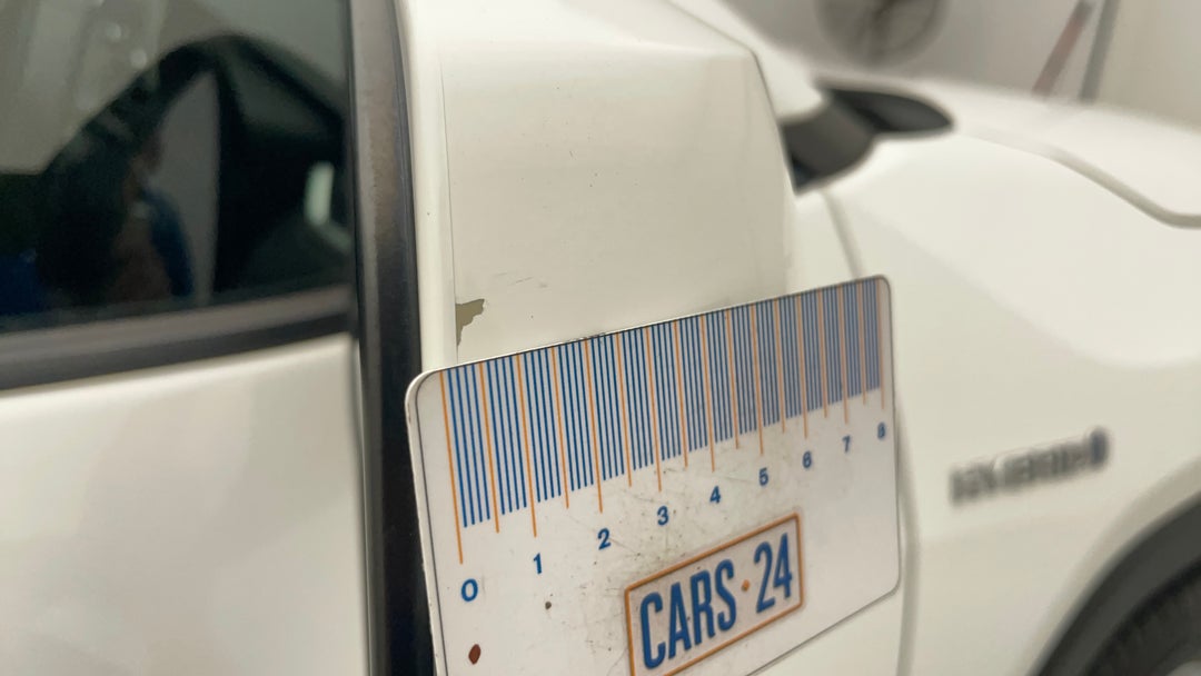 Side Mirrors Housing RHS Chip