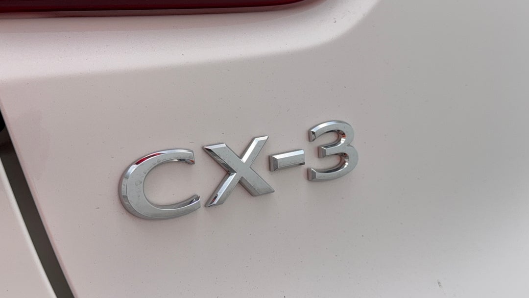 Badge (Boot Left Side)