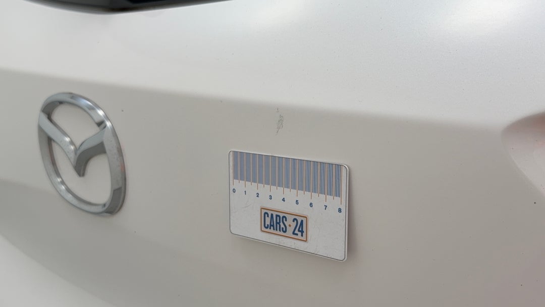 Boot / Tailgate Tailgate Chip