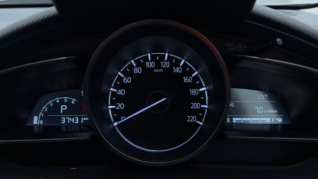 Odometer View