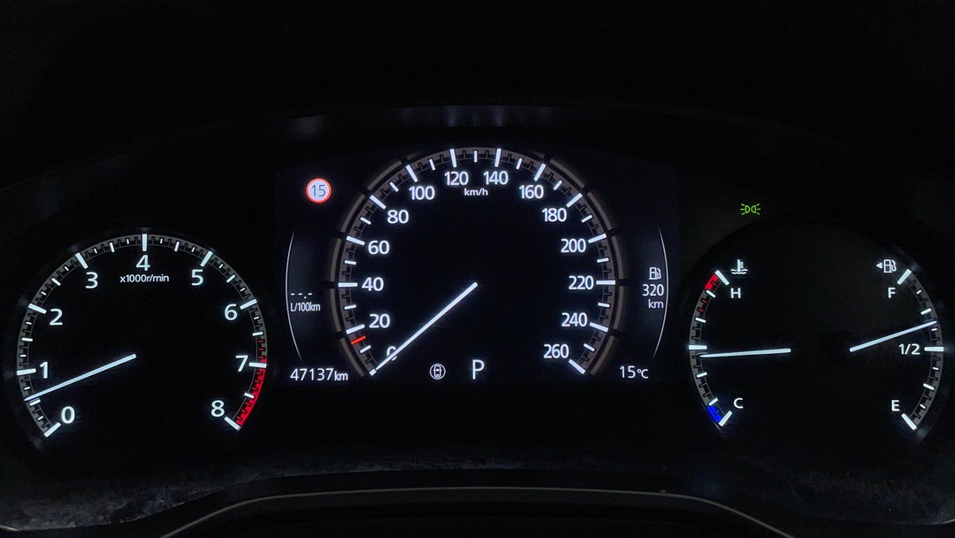 Odometer View