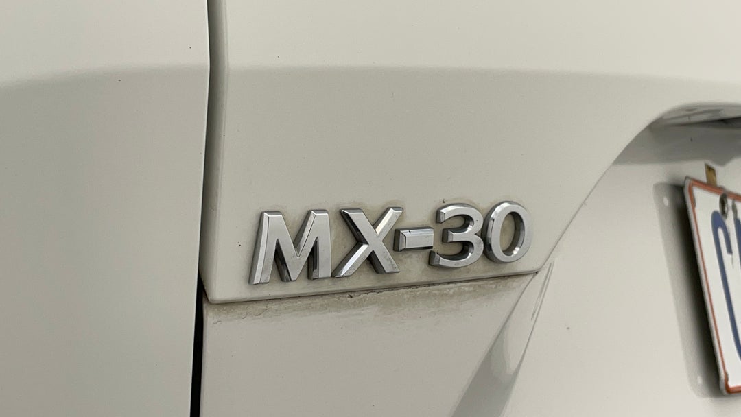 Badge (Boot Left Side)