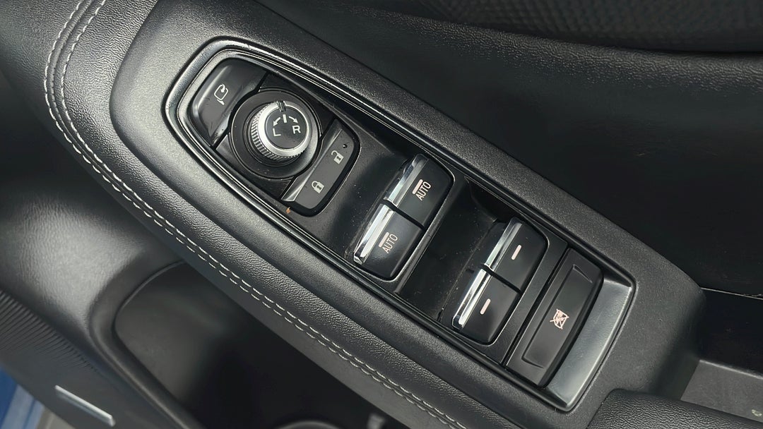 Drivers Side Door Panel Controls