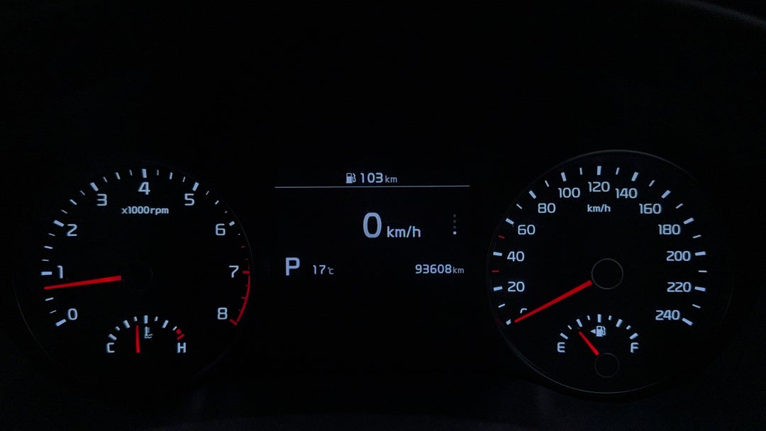 Odometer View