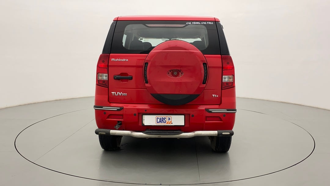 Back/Rear