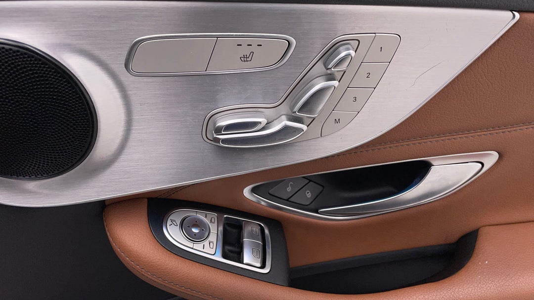Drivers Side Door Panel Controls