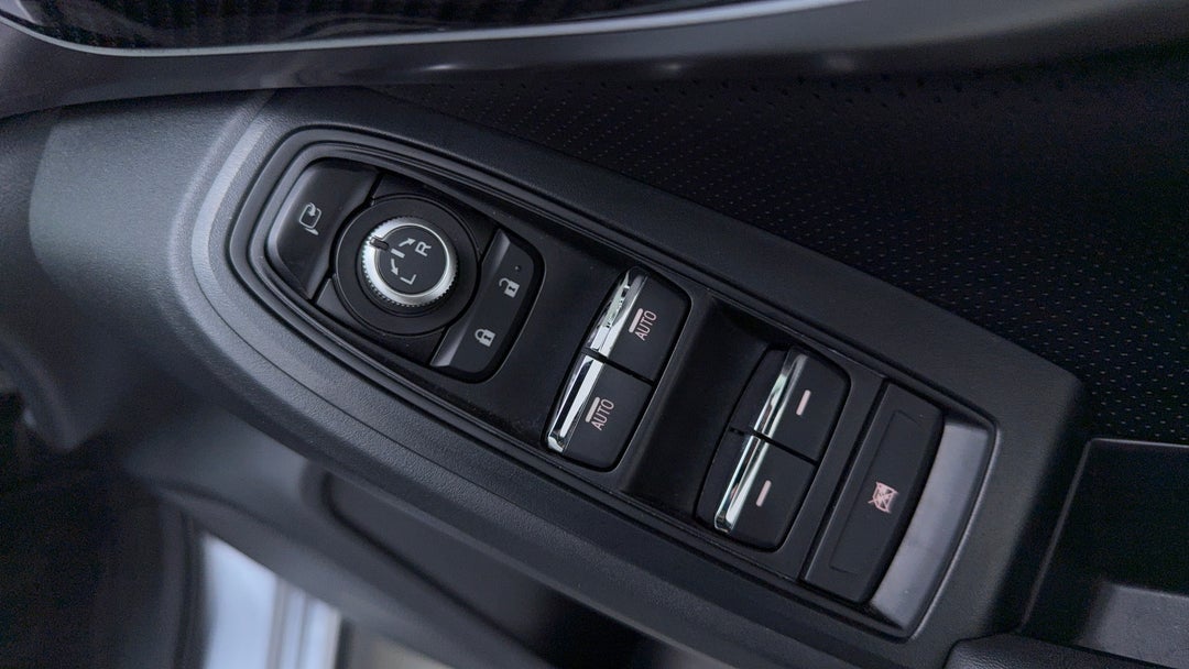 Drivers Side Door Panel Controls