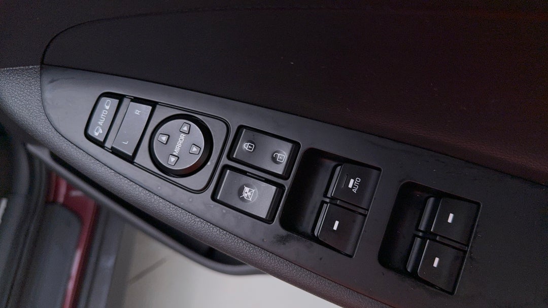 Drivers Side Door Panel Controls