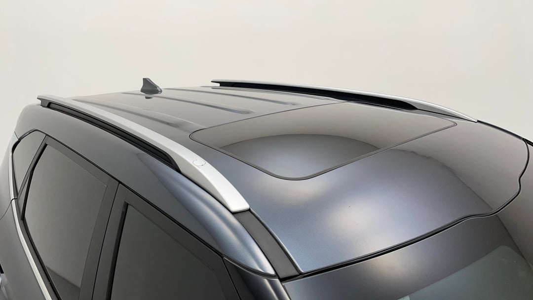 Roof/Sunroof View