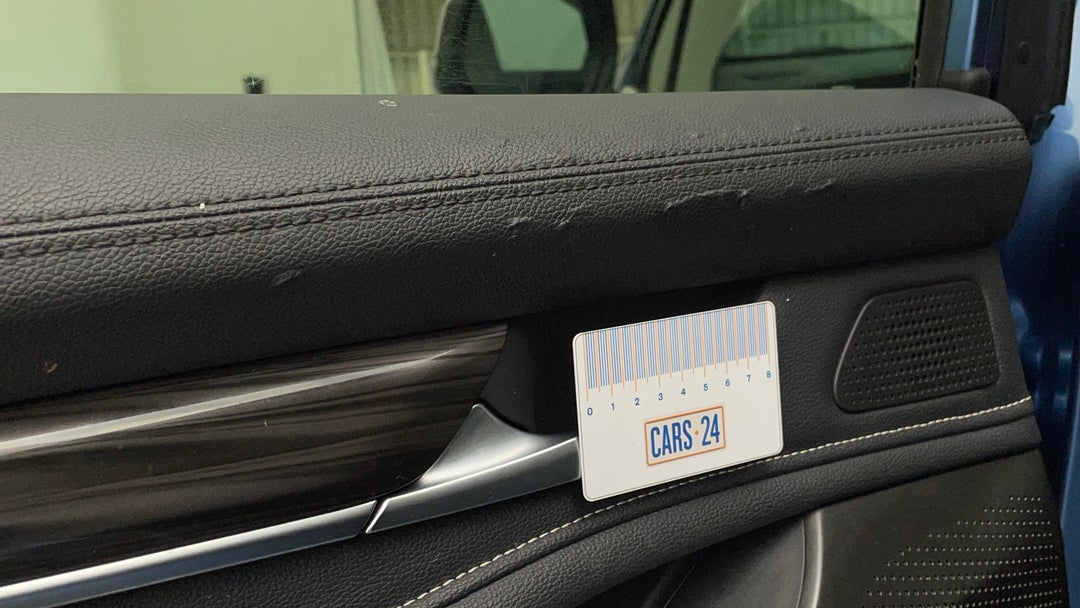 Door Interior Rear LHS Wear