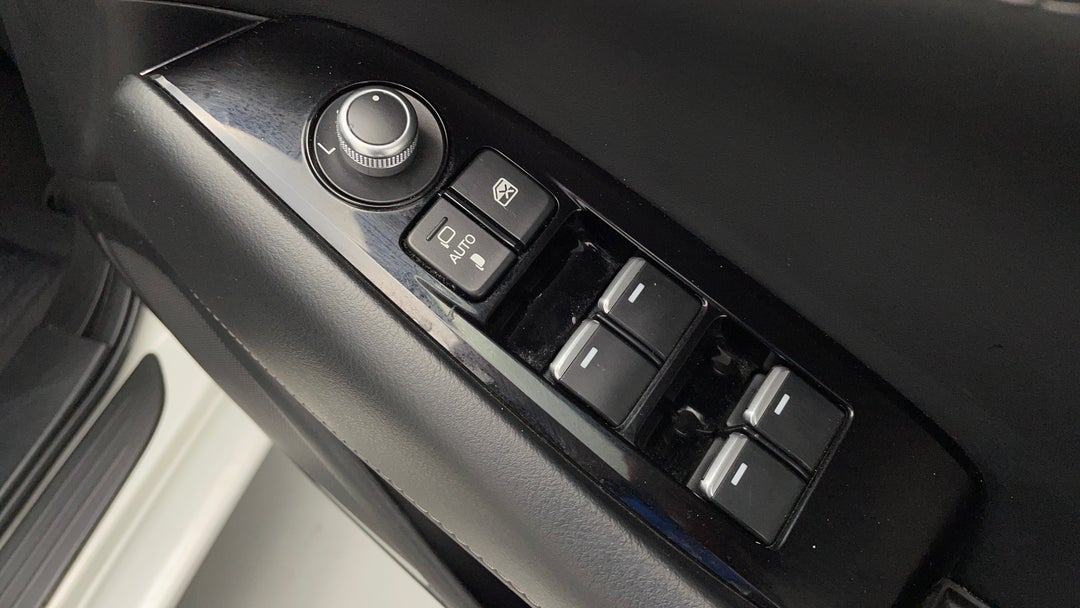 Drivers Side Door Panel Controls