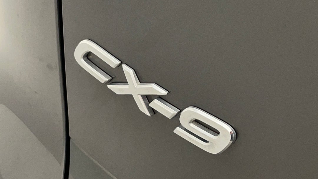 Badge (Boot Left Side)