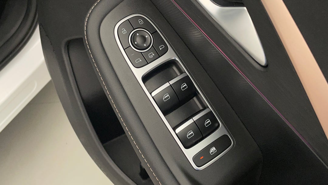 Drivers Side Door Panel Controls