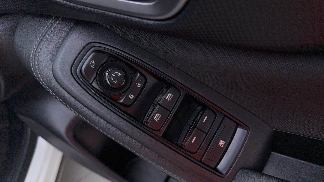 Drivers Side Door Panel Controls