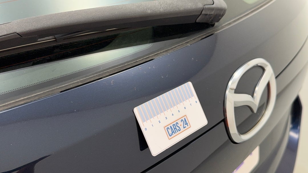 Boot / Tailgate Tailgate Chip