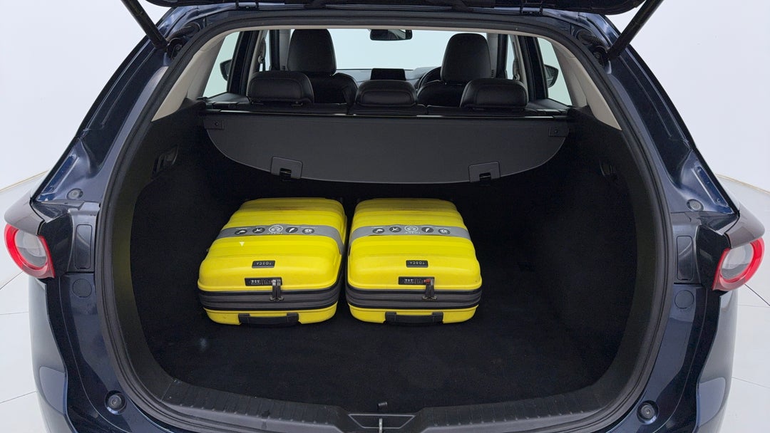 Boot Inside View with Luggage