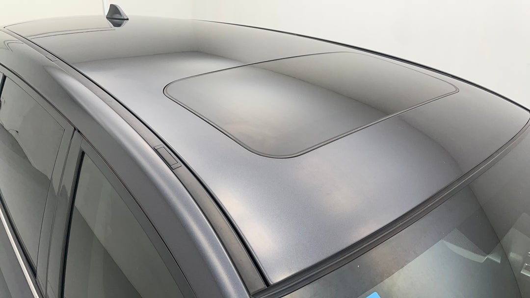 Roof/Sunroof View