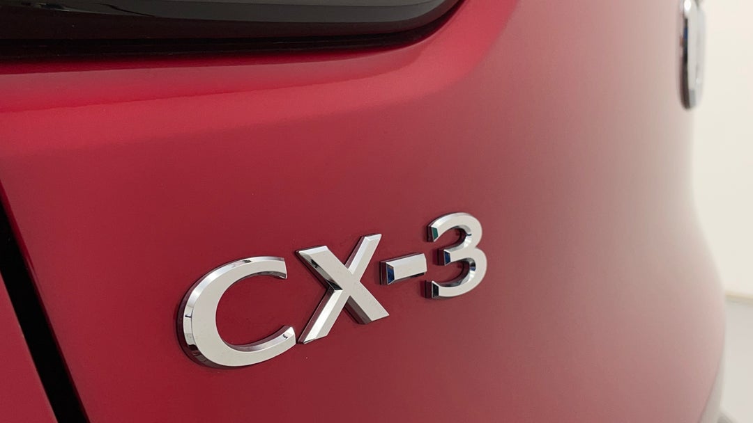 Badge (Boot Left Side)