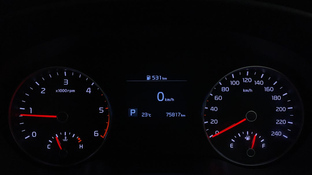Odometer View