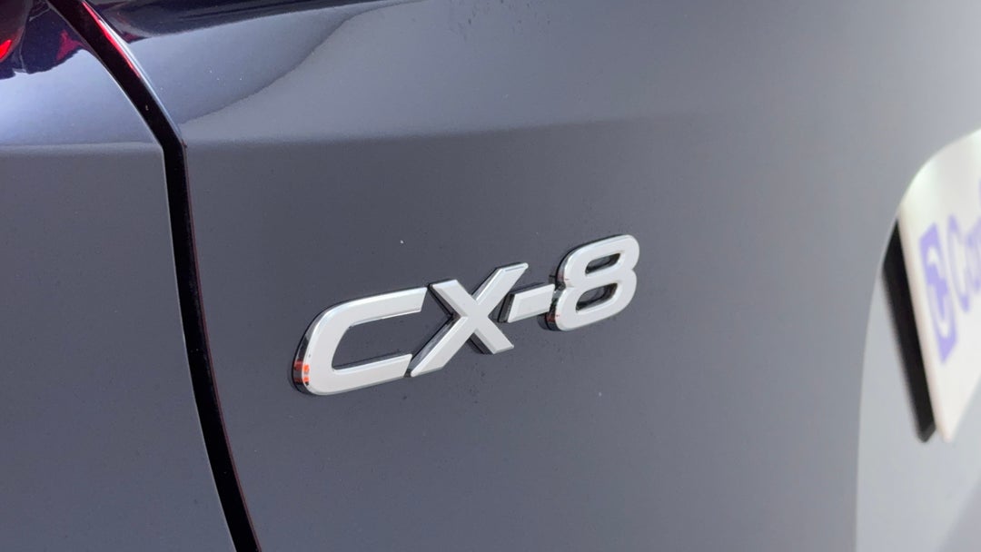 Badge (Boot Left Side)