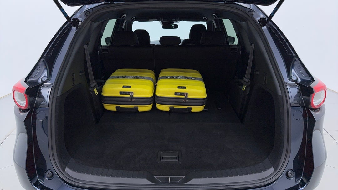 Boot Inside View with Luggage