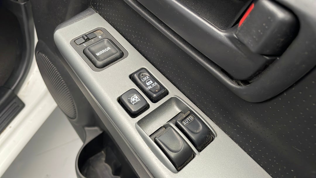 Drivers Side Door Panel Controls