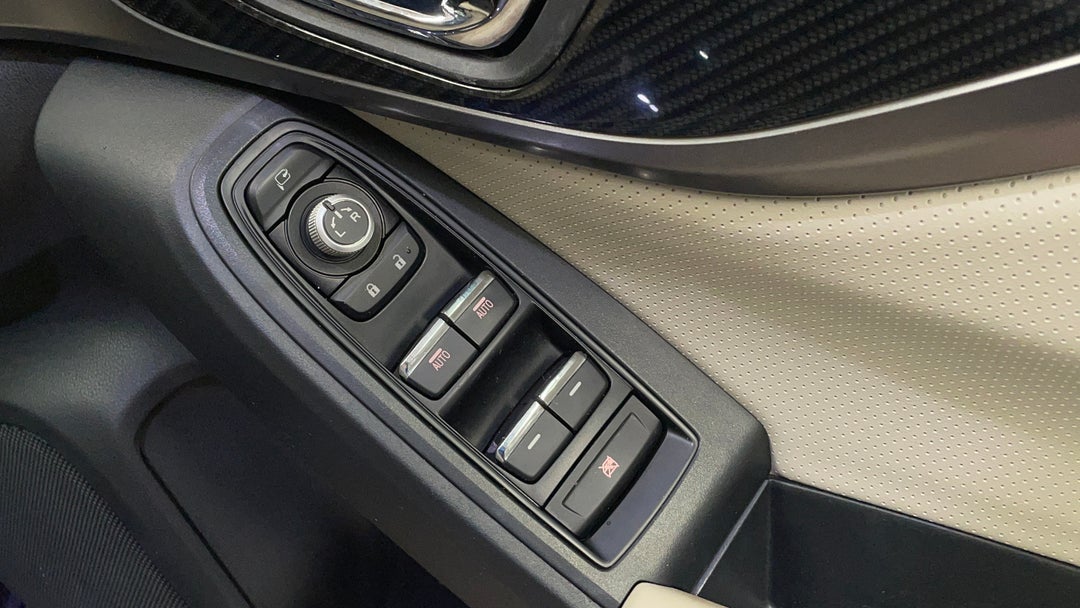 Drivers Side Door Panel Controls