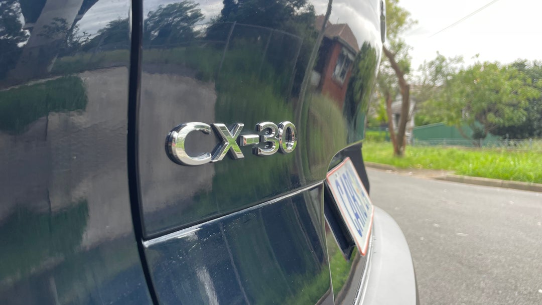 Badge (Boot Left Side)