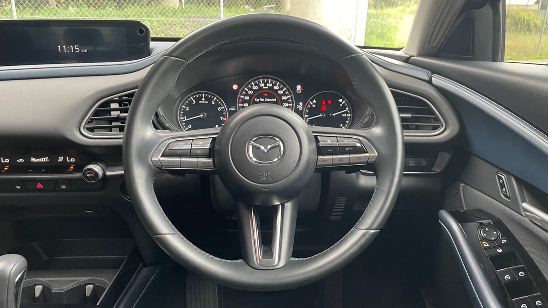 Steering Wheel Close-up