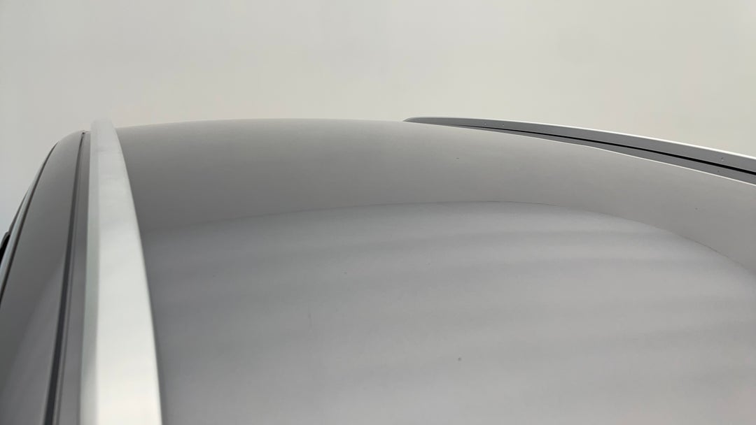 Roof/Sunroof View