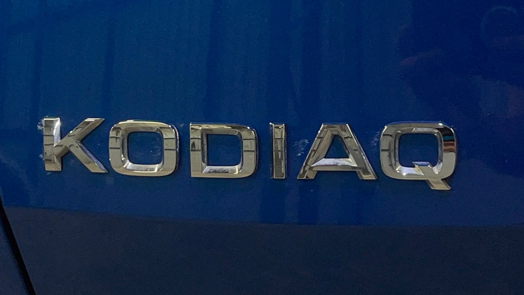 Badge (Boot Left Side)