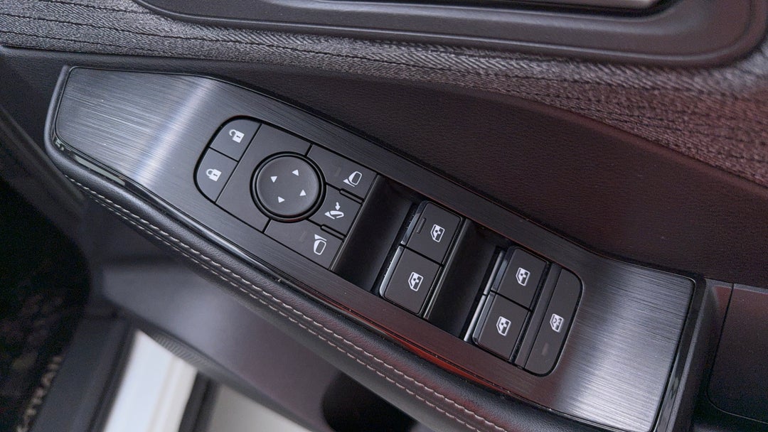 Drivers Side Door Panel Controls