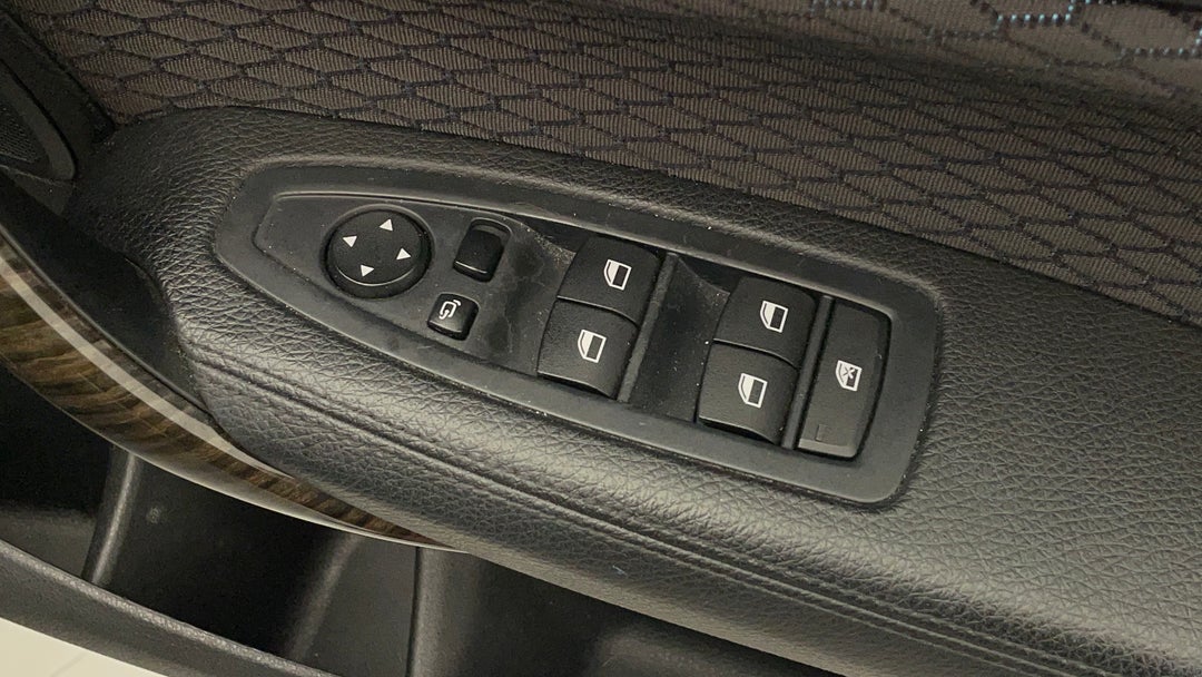 Drivers Side Door Panel Controls