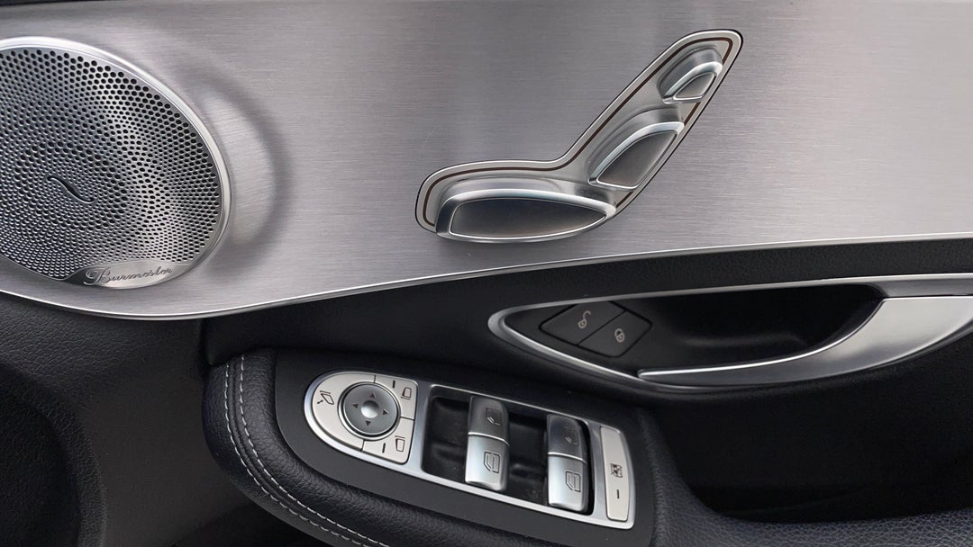 Drivers Side Door Panel Controls