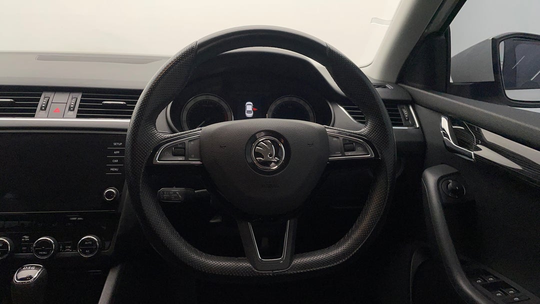 Steering Wheel Close-up