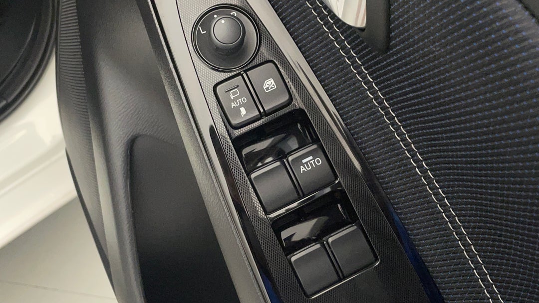 Drivers Side Door Panel Controls