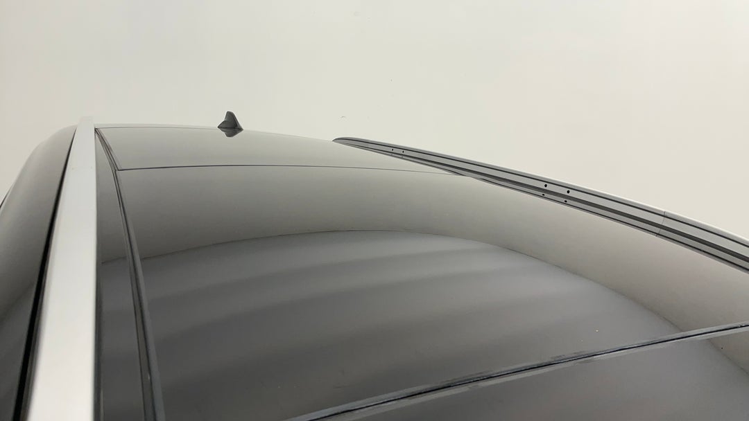 Roof/Sunroof View
