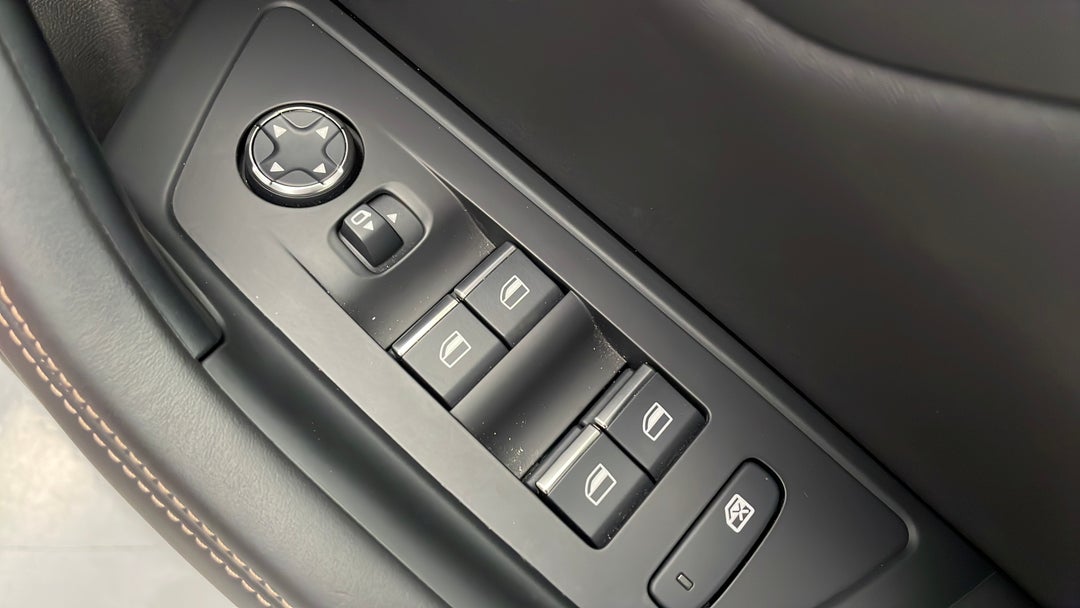 Drivers Side Door Panel Controls